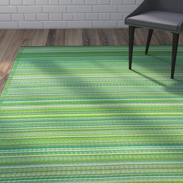Woven Plastic Indoor Outdoor Rug Wayfair
